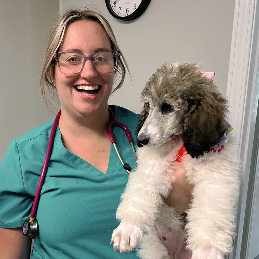 Pet Wellness Care In Dundee, MI Allyson and puppy
